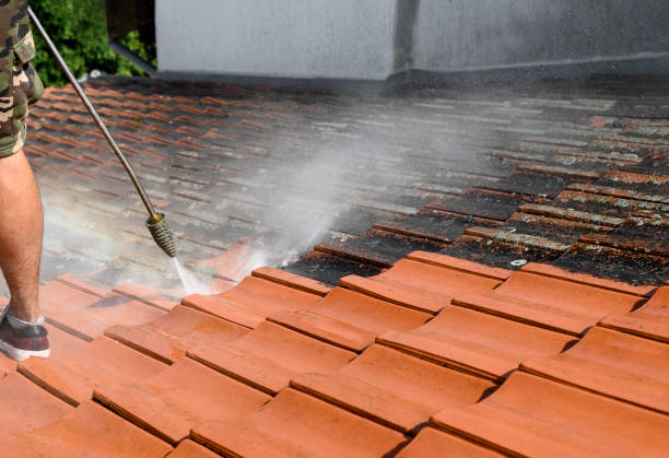 Best Local Pressure Washing Services  in Rice Lake, MN