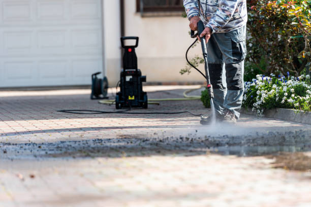 Best Residential Pressure Washing Services  in Rice Lake, MN