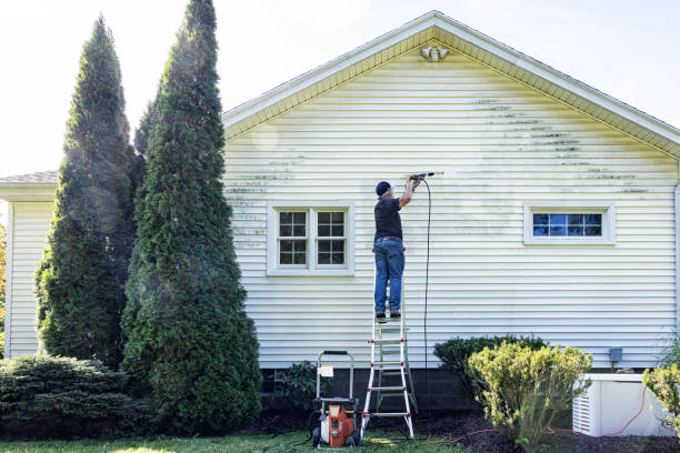 Best Pressure Washing Contractors  in Rice Lake, MN